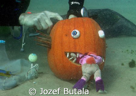 "WHEN THE HUNTED 
BECOMES THE HUNTER"!!!
Underwater pum... by Jozef Butala 