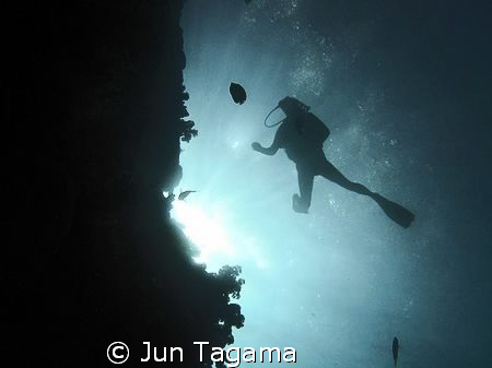 The Shadow. . . my buddy doing the safety stop, taken at ... by Jun Tagama 