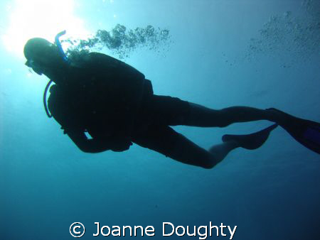 I loved the colour of the blues around the Diver's body w... by Joanne Doughty 