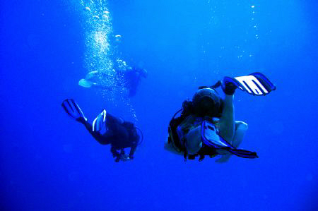 Divers doing what divers do! Casio exilim. by Andrew Macleod 