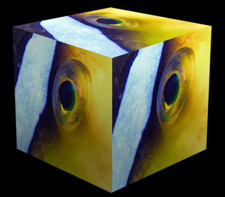 Clown eye cubed by Martin Dalsaso 