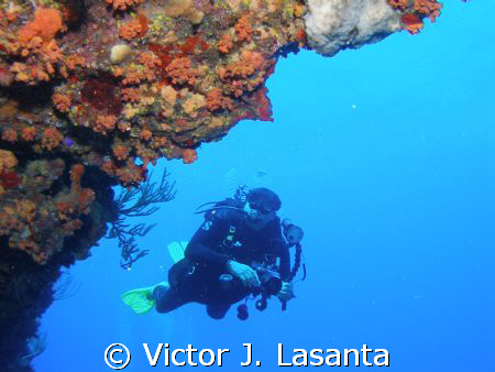 mr. luis colondre having fun in mermaid point dive site a... by Victor J. Lasanta 