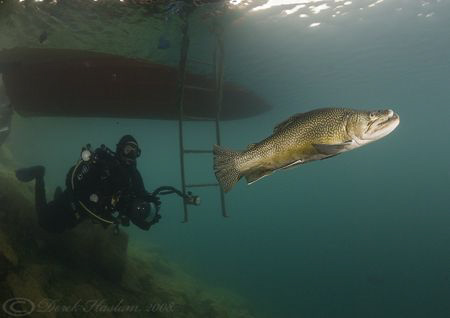 Mark with Hookie. Capernwray. D200, 10.5mm. by Derek Haslam 