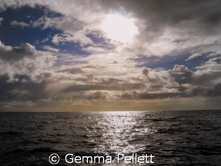 Middle of False Bay, South Africa, early morning by Gemma Pellett 