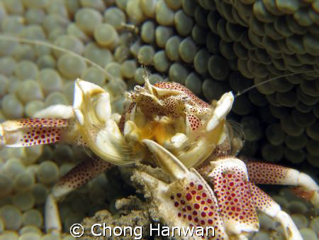 taken with g9 by Chong Hanwan 