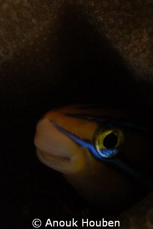 How do you like my eye-liner? by Anouk Houben 