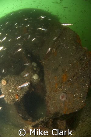 Rudder and prop of the Mara with a nice school of fish by Mike Clark 