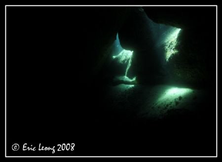 I see the LIGHT by Eric Leong 