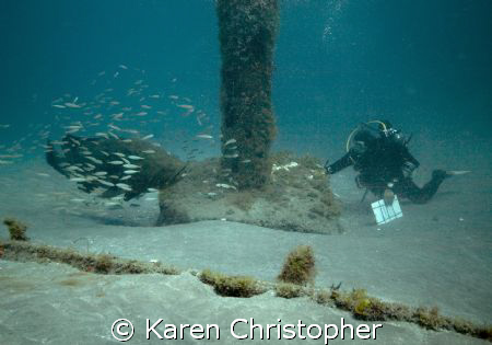 "Size Matters" During the full moons of the late summer a... by Karen Christopher 