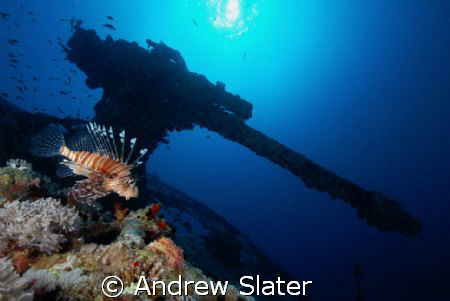 d200, 1/80, F13, ISO 100, 25m on Thistlegorm, took a few ... by Andrew Slater 