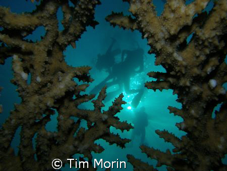 “Table Top Setting”, taken on my birthday 11/23/08 in Tab... by Tim Morin 
