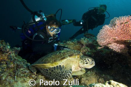 "divers sipadan"450d+10-22 canon by Paolo Zulli 