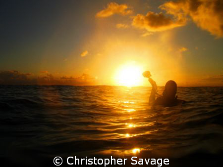 	A buddy and I were doing an underwater shoot. When we su... by Christopher Savage 