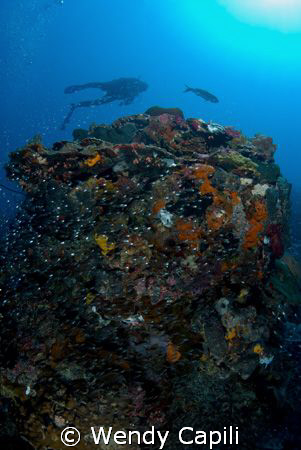 Glass fish and diver.. by Wendy Capili 