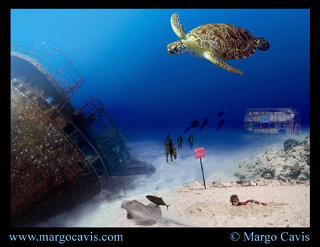 Careful on the rocks - is what the sign says. Surreal und... by Margo Cavis 