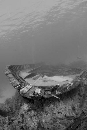 Nikon D80, 10.5mm by Andy Kutsch 