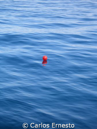 Red balloon. by Carlos Ernesto 