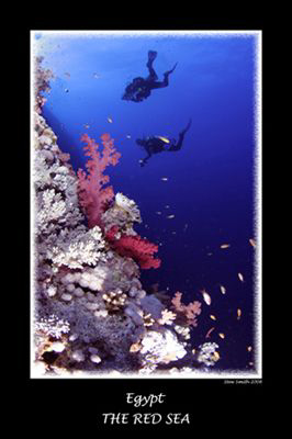 Buddy Partners - 10-17mm Tokina by Stew Smith 