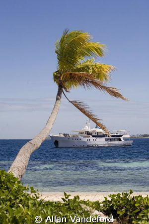The Pelagian liveaboard seen from shore at Wakatobi Resor... by Allan Vandeford 