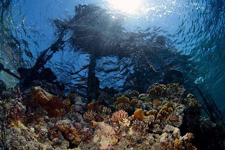 Big Brother Island - Red Sea, Egypt. by Jim Garland 