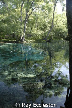 Ginnie Springs, FL. Camera Nikon D-200 by Ray Eccleston 
