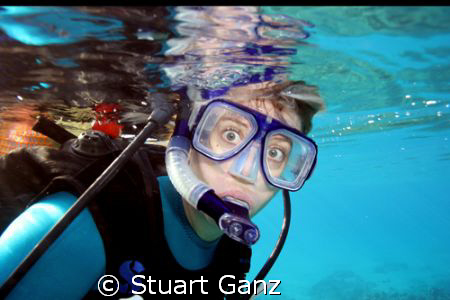 Deer in the -well you know :) by Stuart Ganz 