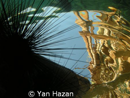 ABSTRACT by Hhh Hghgh 