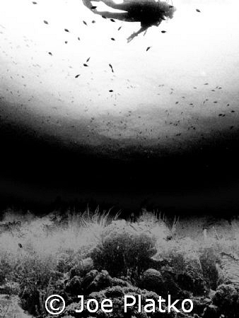 I just wanted to turn the original picture into a b&w but... by Joe Platko 