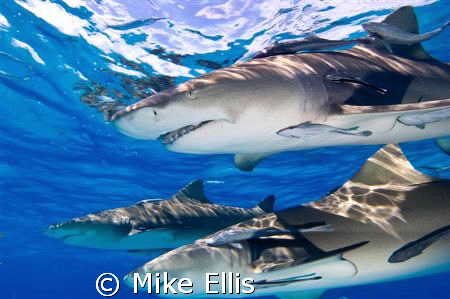They say "all good things come in three's" in this case i... by Mike Ellis 