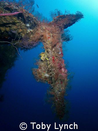 A piece of twisted metal hanging of the hull of the Bianc... by Toby Lynch 