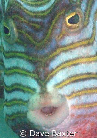 taken @ Ammo Jetty by Dave Baxter 