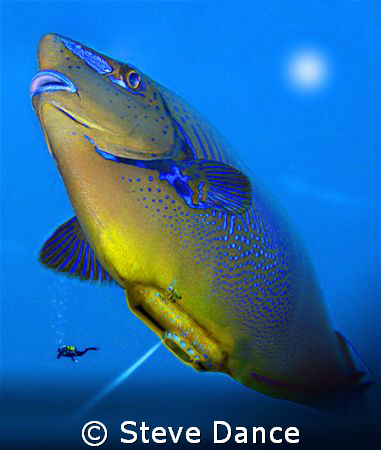 Unicorn Blimp: Just a bit of fun created in photoshop. by Steve Dance 