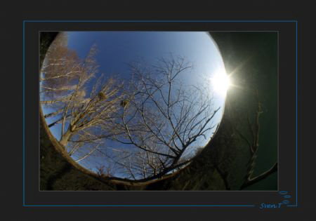 "From a fish angle" by Sven Tramaux 
