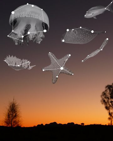 Australia Constellations by Stephen Holinski 