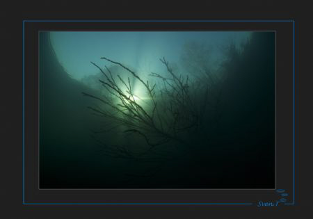 A warm looking atmosphere on a sunny day, water temperatu... by Sven Tramaux 