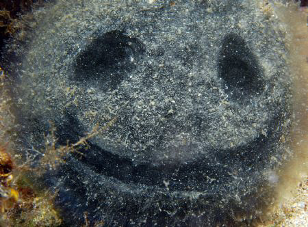 Sometimes there is just nothing. by Andy Kutsch 