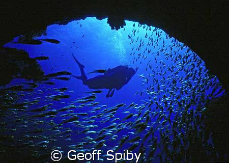 on the wreck of the Ghiannis D by Geoff Spiby 