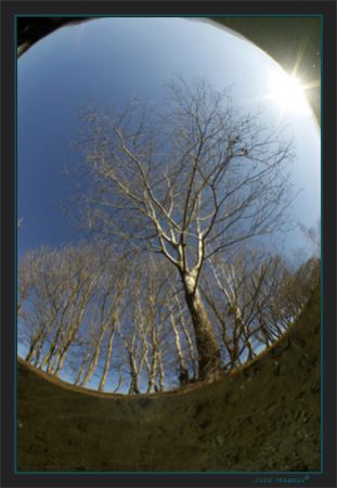 Looking through the surface by Sven Tramaux 