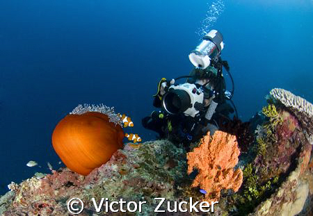 eye on the prize by Victor Zucker 