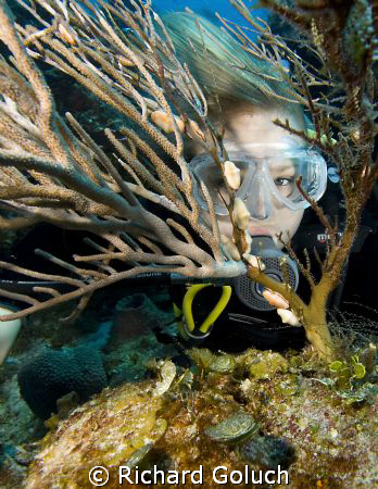My 13 year old daughter with 14 Flamingo Tongues[2 on the... by Richard Goluch 