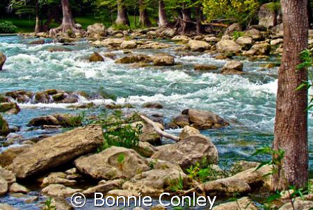 Guadalupe River, Hill Country Texas. by Bonnie Conley 