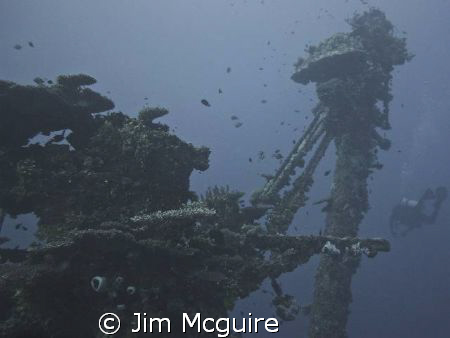 This upright has become a haven for smaller fish. by Jim Mcguire 