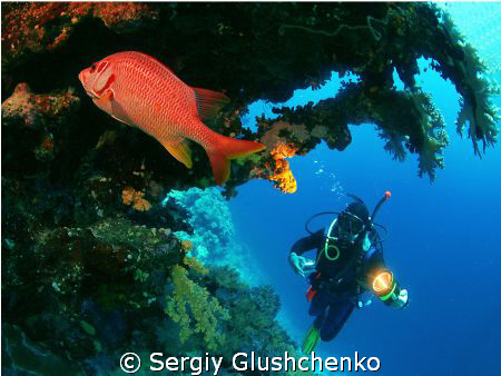 Red Fish by Sergiy Glushchenko 