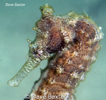 taken @ the ammo jetty by Dave Baxter 