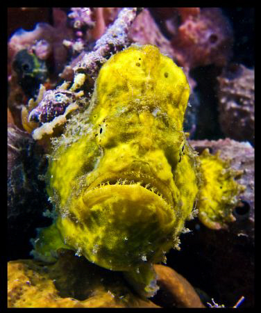 You looking at me??? by Juan Torres 