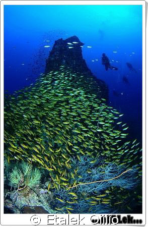 South-West pinnacle
Koh Tao Thailand by Etalek Oiiiio 