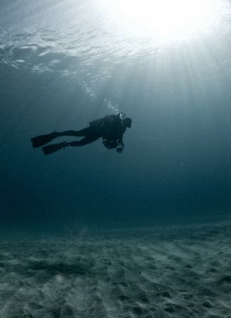 Natural light picture of my diving buddy Abimael on our f... by Juan Torres 
