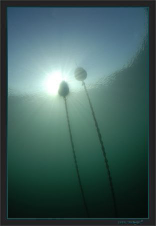 Green waters winter atmosphere. Geneva’s Lake by Sven Tramaux 