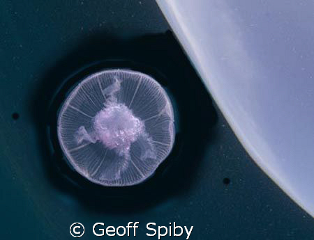 the starship "Jellyfish" orbits the earth by Geoff Spiby 