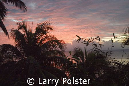 Taveuni, Fiji...sunrise by Larry Polster 